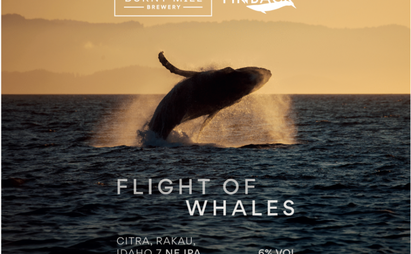 Flight Of Whales