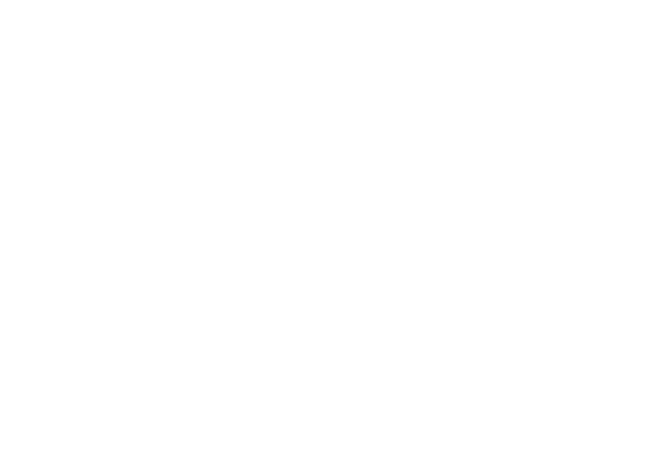 To Øl（輸入販売終了）