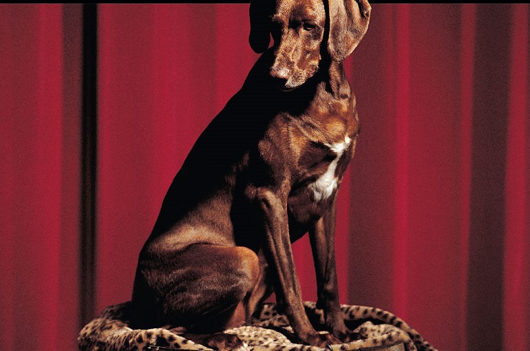 smuttynose-old-brown-dog-ale