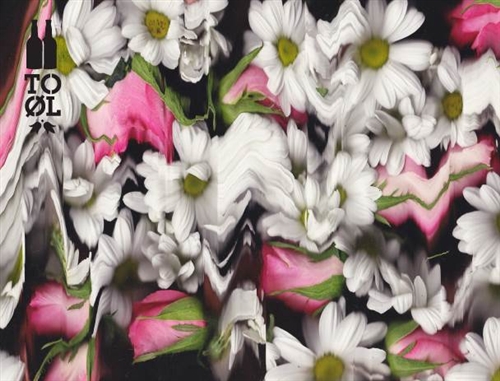 to-ol-blossom