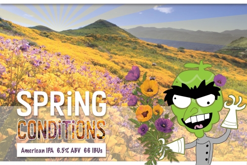 Spring Condition