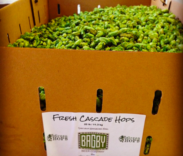 C-hops