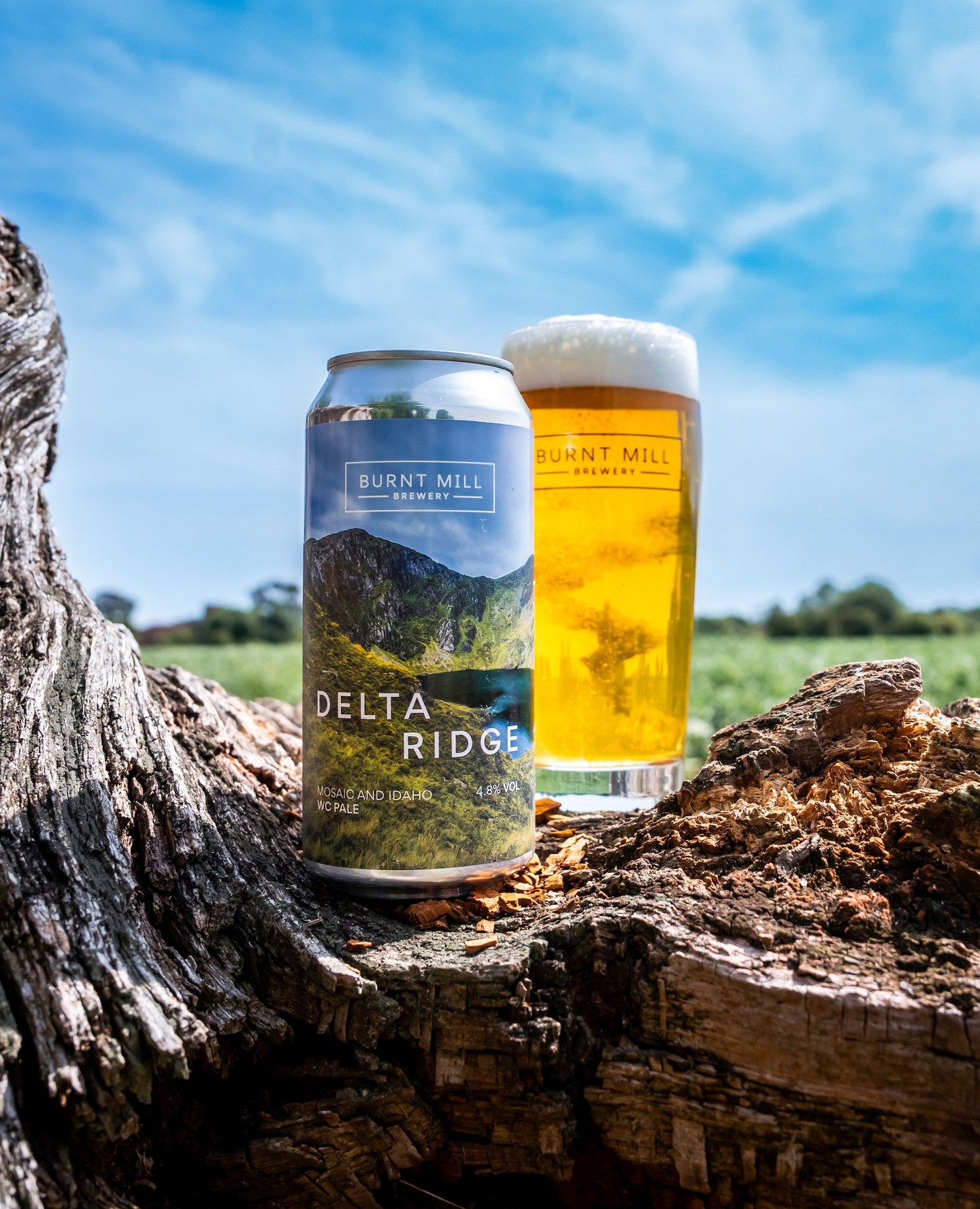 バーントミル デルタ リッジ West Coast Pale Ale