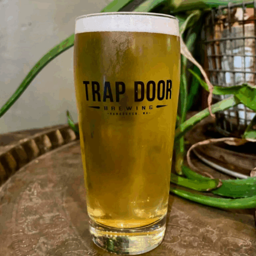 ​Trap Door トラップドア AQベボリューション